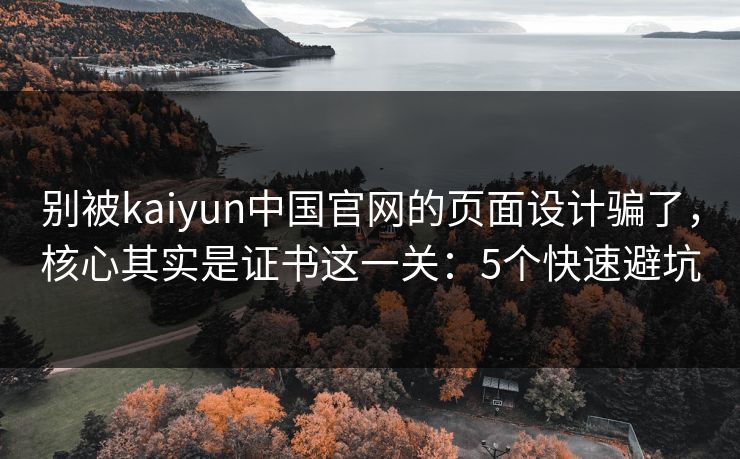 别被kaiyun中国官网的页面设计骗了，核心其实是证书这一关：5个快速避坑